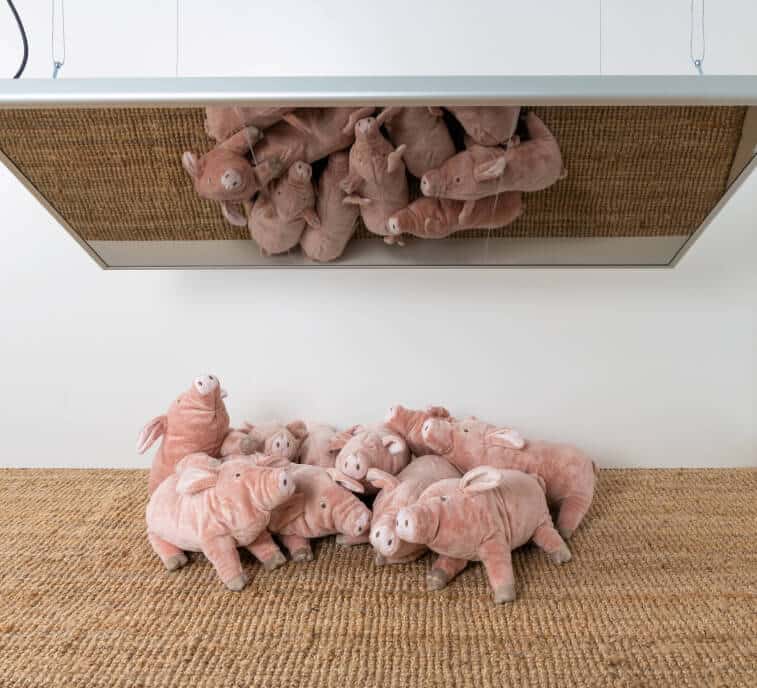 peluche porcin sous panneau chauffant